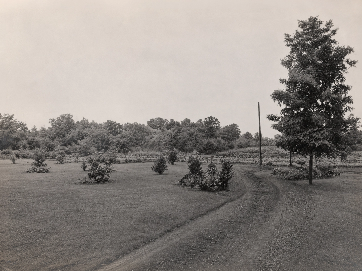 Garden view on the grounds of Idylease