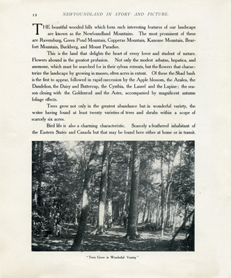 Newfoundland in Story and Picture page 16 thumbnail